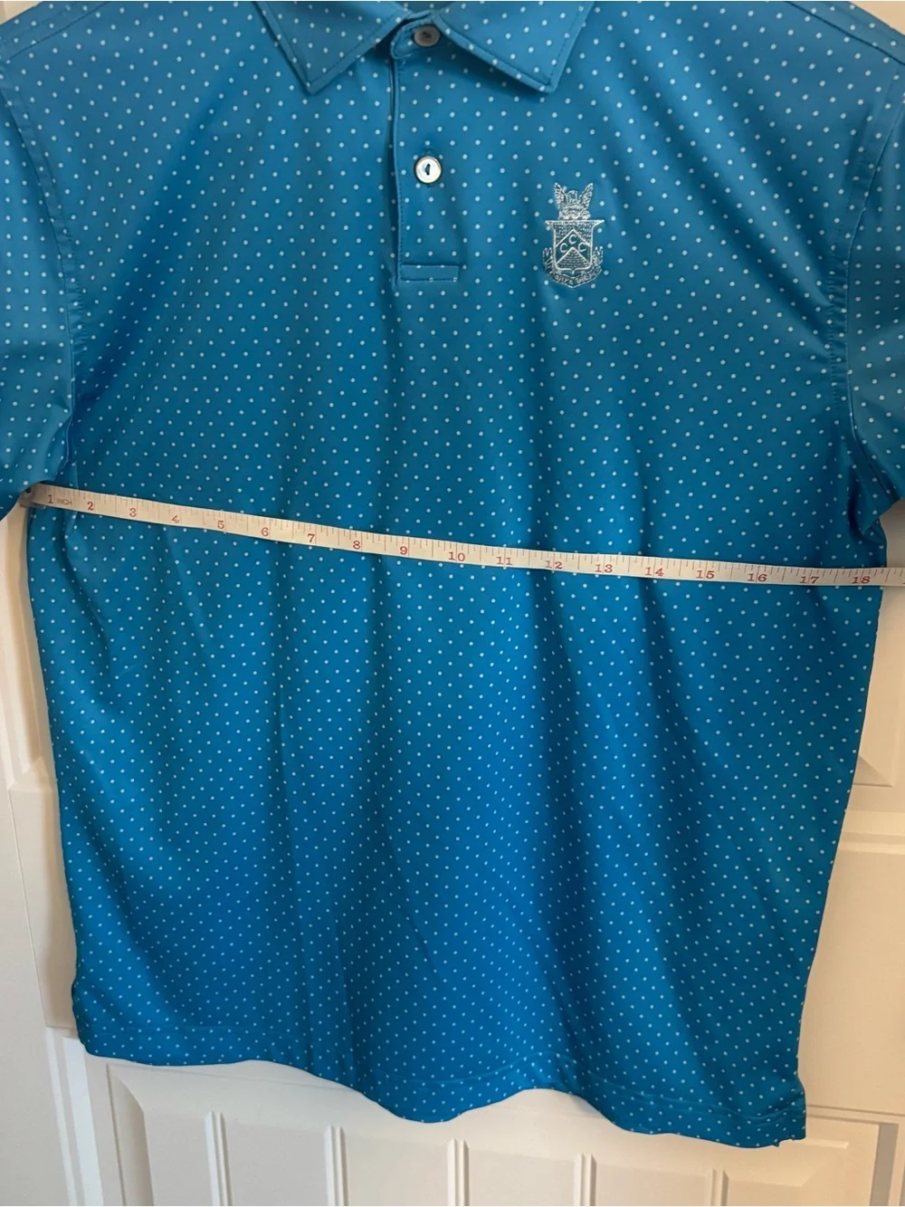 Peter Millar Youth Blue Polo Size L (11-12)